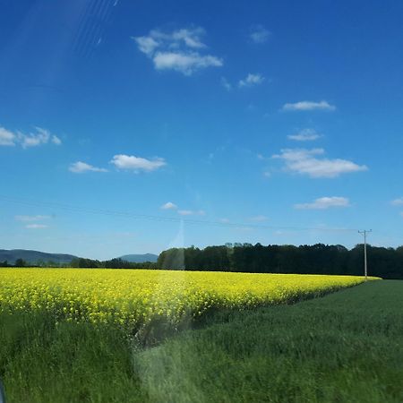 Agroturystyka "Jagap" Oaza Spokoju Dzierżoniów Extérieur photo