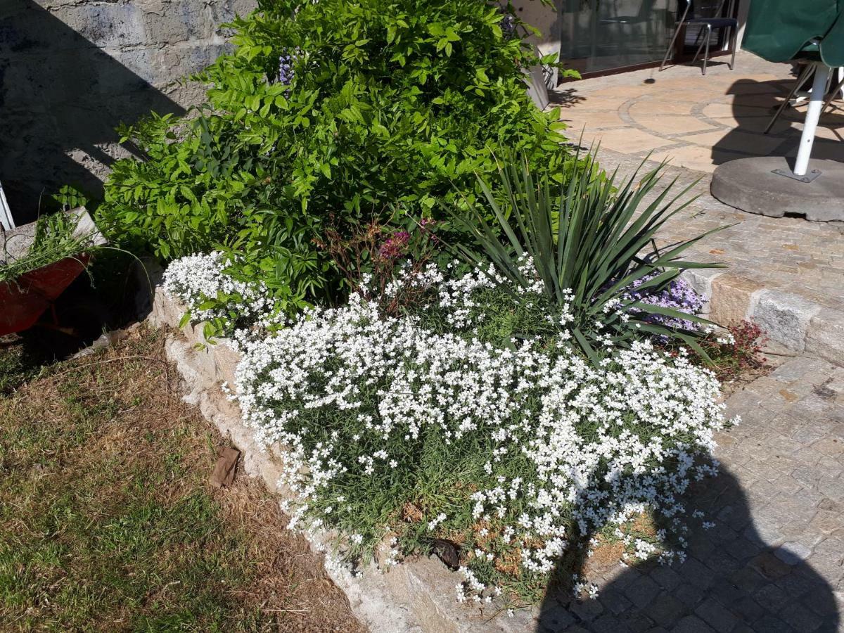 Agroturystyka "Jagap" Oaza Spokoju Dzierżoniów Extérieur photo