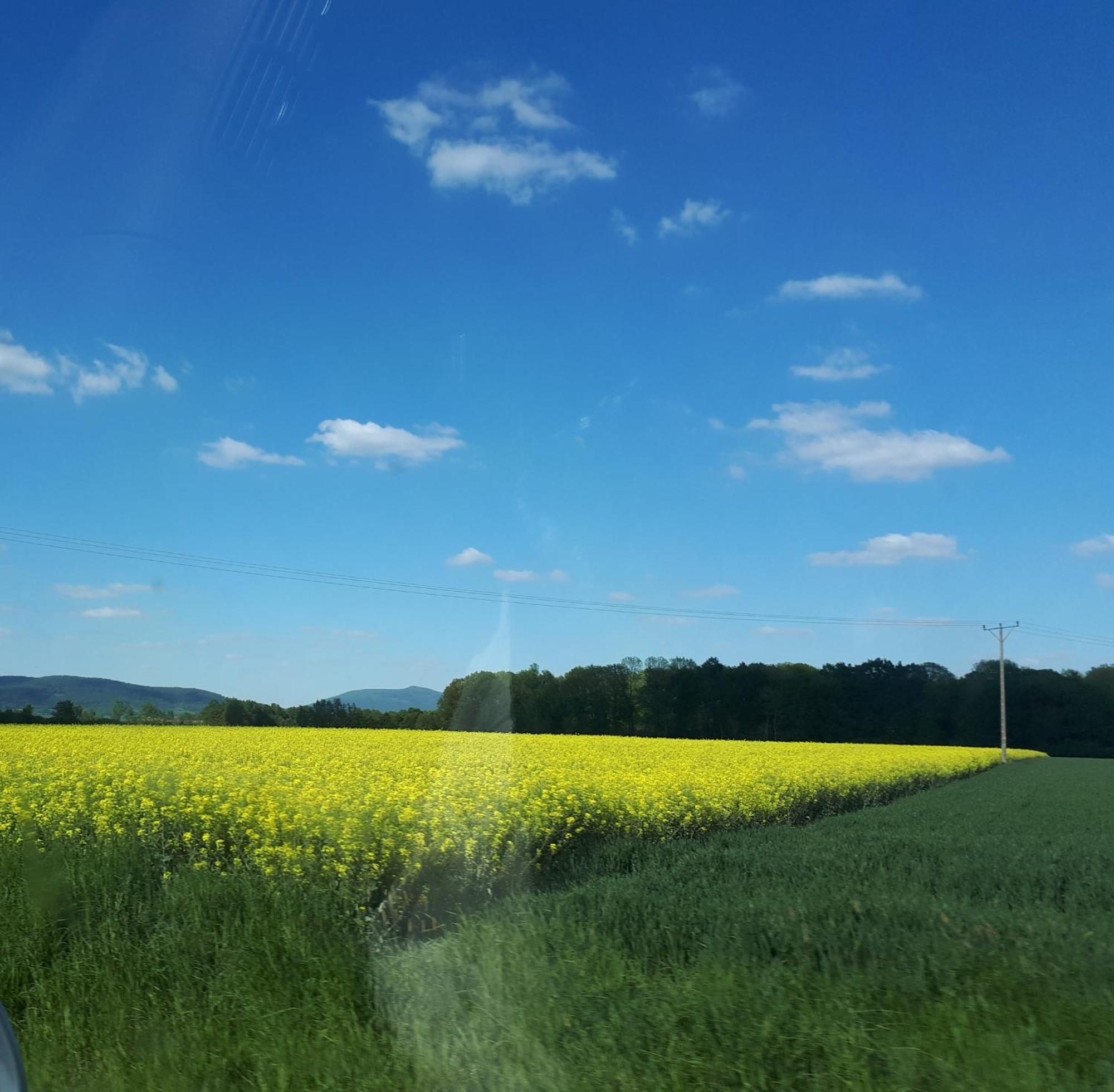 Agroturystyka "Jagap" Oaza Spokoju Dzierżoniów Extérieur photo