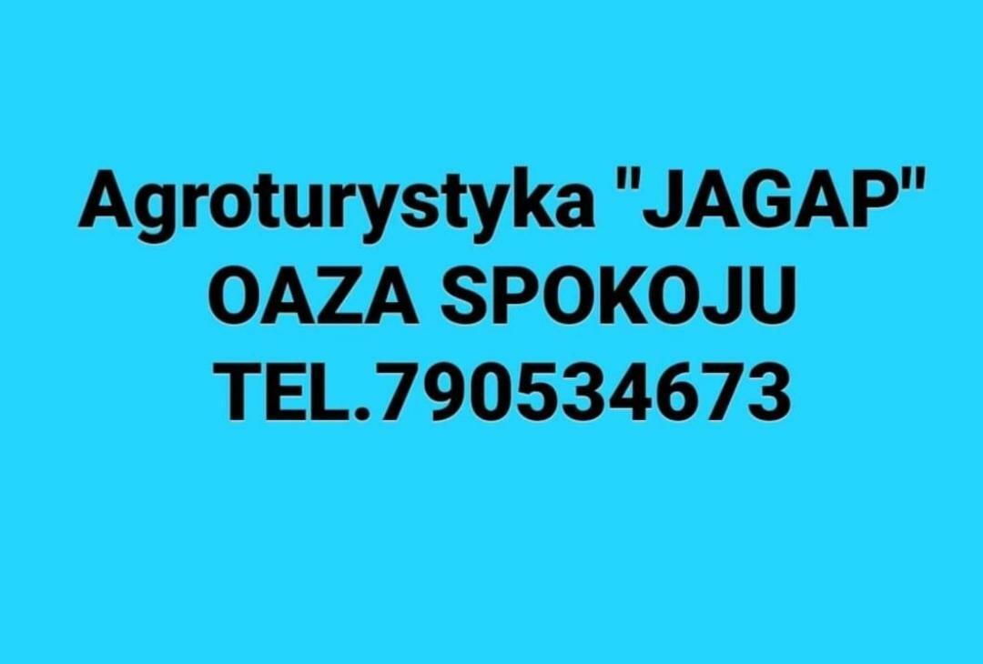 Agroturystyka "Jagap" Oaza Spokoju Dzierżoniów Extérieur photo