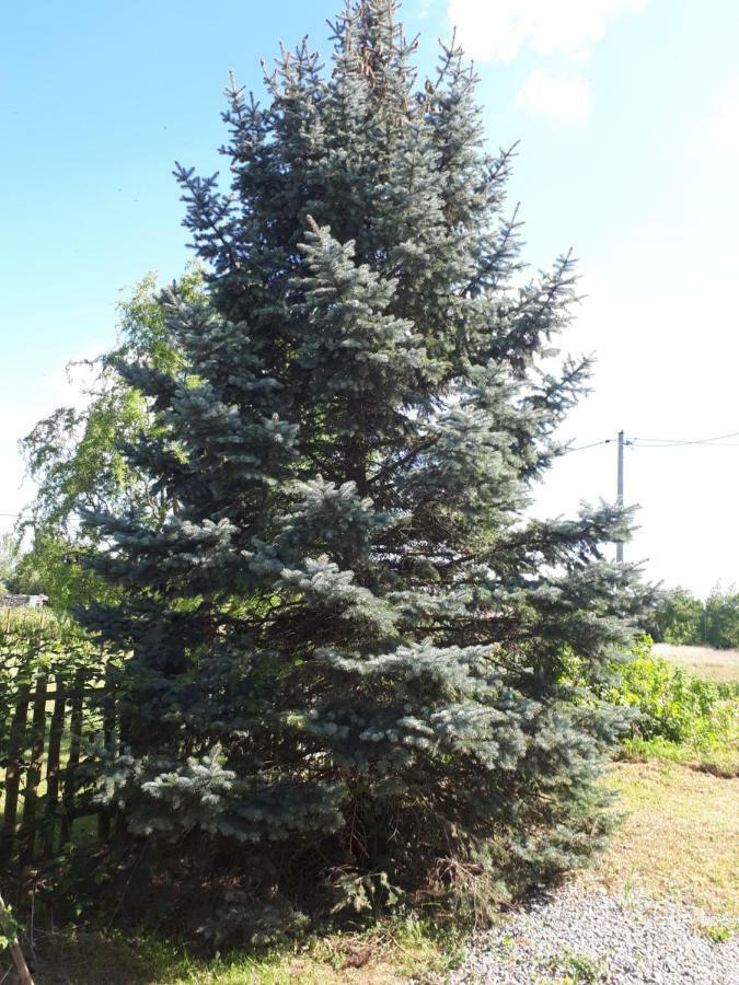 Agroturystyka "Jagap" Oaza Spokoju Dzierżoniów Extérieur photo