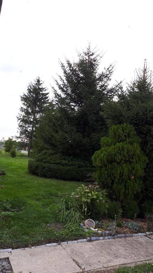 Agroturystyka "Jagap" Oaza Spokoju Dzierżoniów Extérieur photo